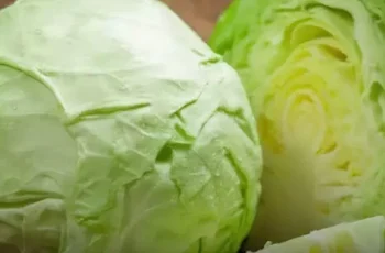 4 Types of People Who Should Probably Skip Cabbage